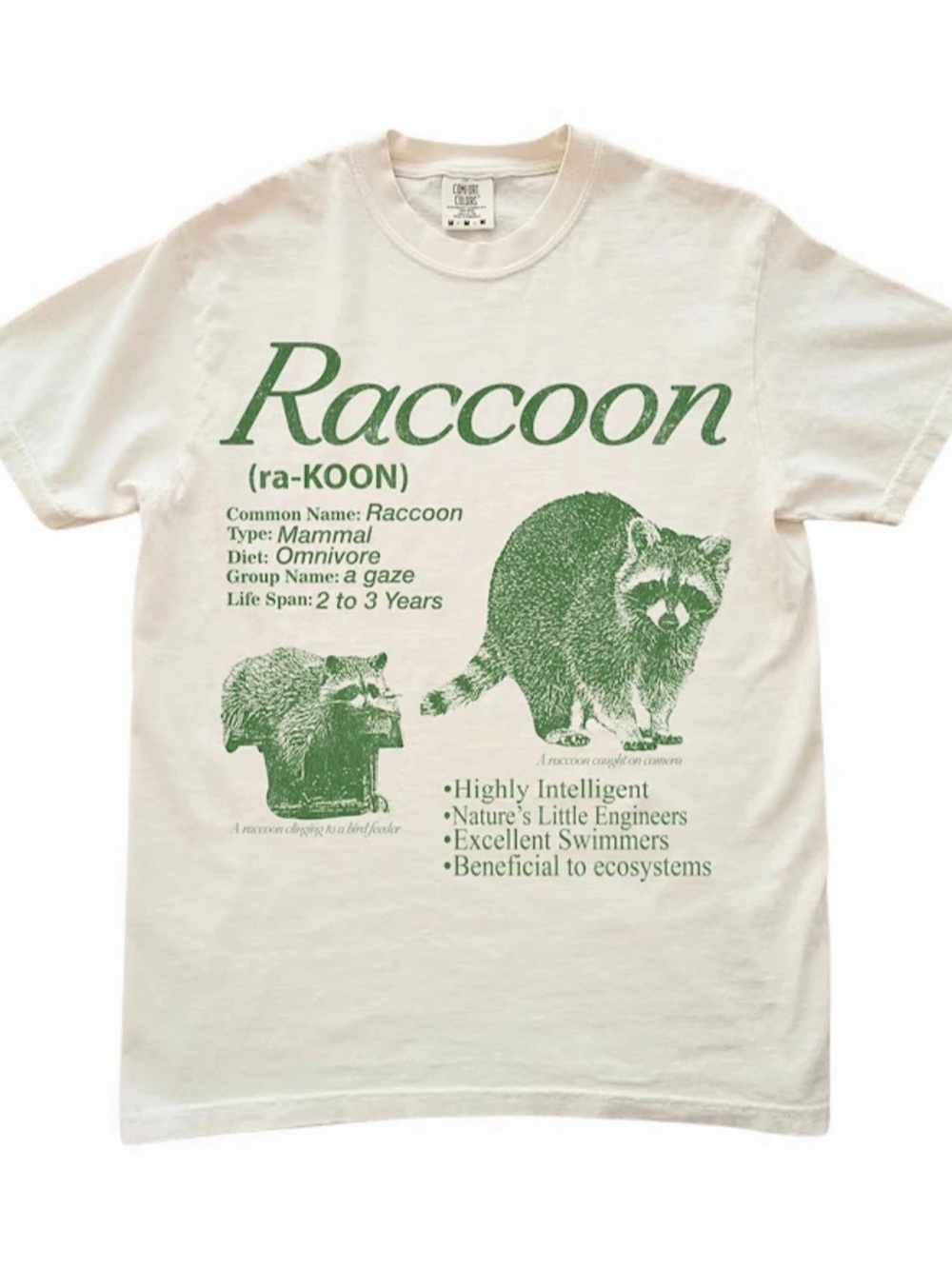 Comfort Colors Raccoon graphic tee in White & Green